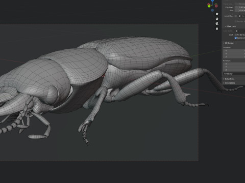 Scarites terricola ground beetle 3D Модель