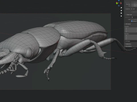 Scarites terricola ground beetle 3D Model