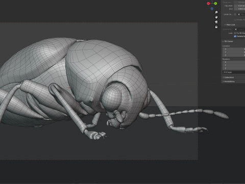 Scelodonta lewisii insects Modelo 3D