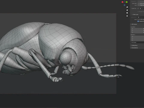 Scelodonta lewisii insects 3D Model
