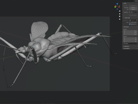 Sphedanolestes impressicollis insects Model 3D