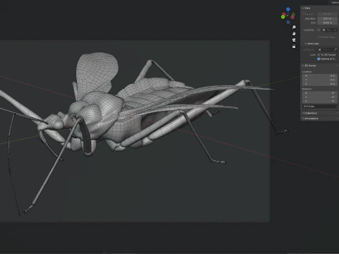 Sphedanolestes impressicollis insects 3D Model