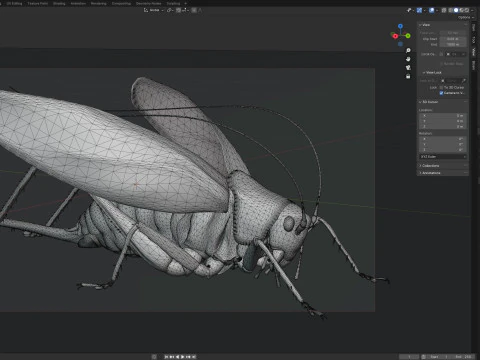 Semak hijau Tettigonia viridissima Model 3D