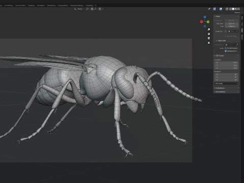 Vespula flaviceps wasp 3Dモデル