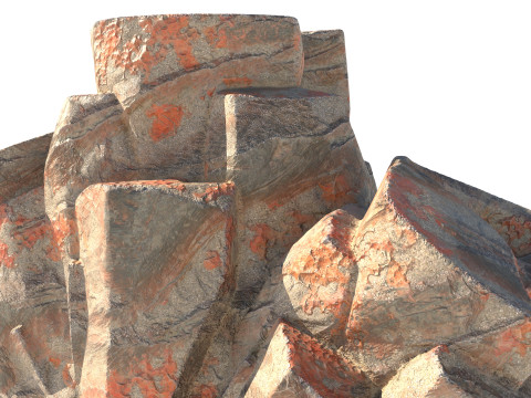 Coral rock 3D Model