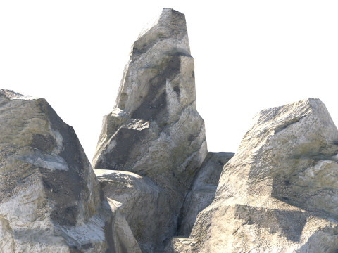 Grey coral rock cliff 3D Model