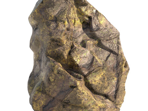 Jungle moss rock 3D 모델