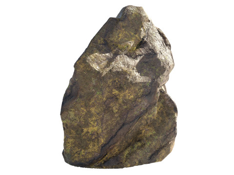 Jungle moss rock Modello 3D