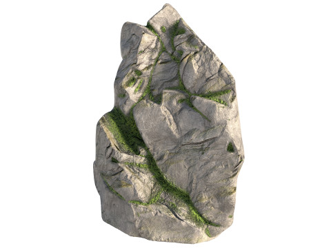Moss rock Model 3D