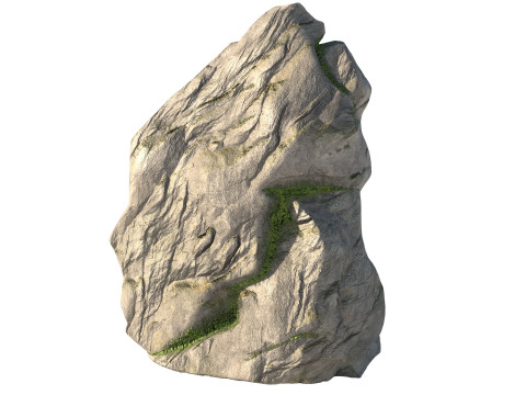 Moss rock Model 3D
