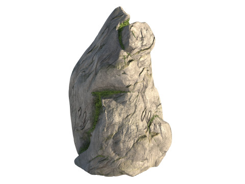 Moss rock Model 3D