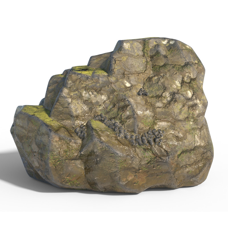 Wet Cliff Rock 3D Model .c4d .max .obj .3ds .fbx .stl .blend 