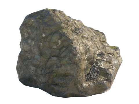 Wet Cliff Rock 3D Model