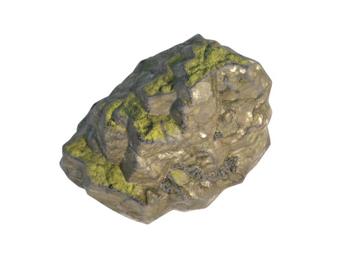 Wet Cliff Rock 3D Model