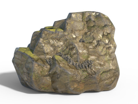 Wet Cliff Rock 3D Model