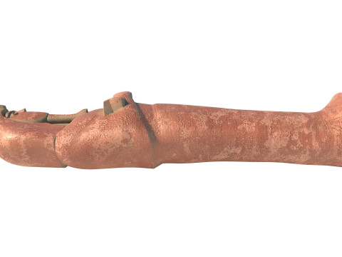 Akhenaten Coffin 3D Модель