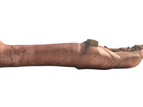 Akhenaten Coffin 3D Model