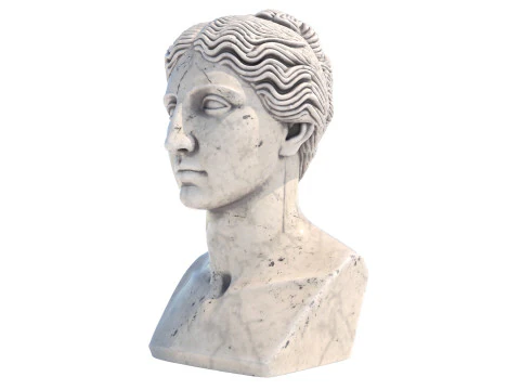 Ven&uuml;s kafa b&uuml;st&uuml; 3D Model