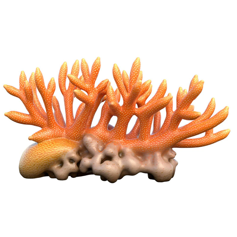 Coral 01 3D Model .c4d .max .obj .3ds .fbx .stl .blend