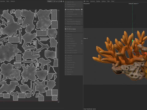 Coral 01 3D Model