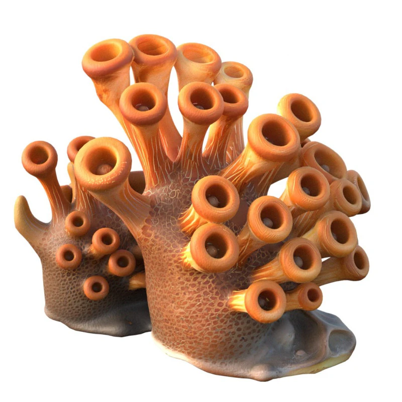 Coral 02 3D Model .c4d .max .obj .3ds .fbx .stl .blend 