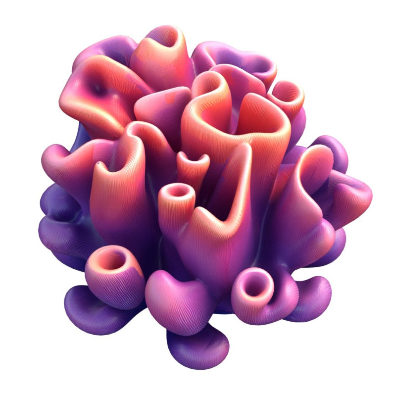 Arrecife de coral 04 Modelo 3D .c4d .max .obj .3ds .fbx .stl .blend