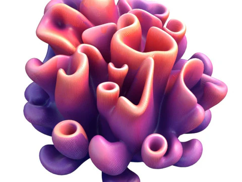 Terumbu karang 04 Model 3D