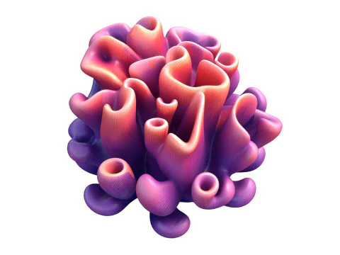 Mercan kayalığı 04 3D Model