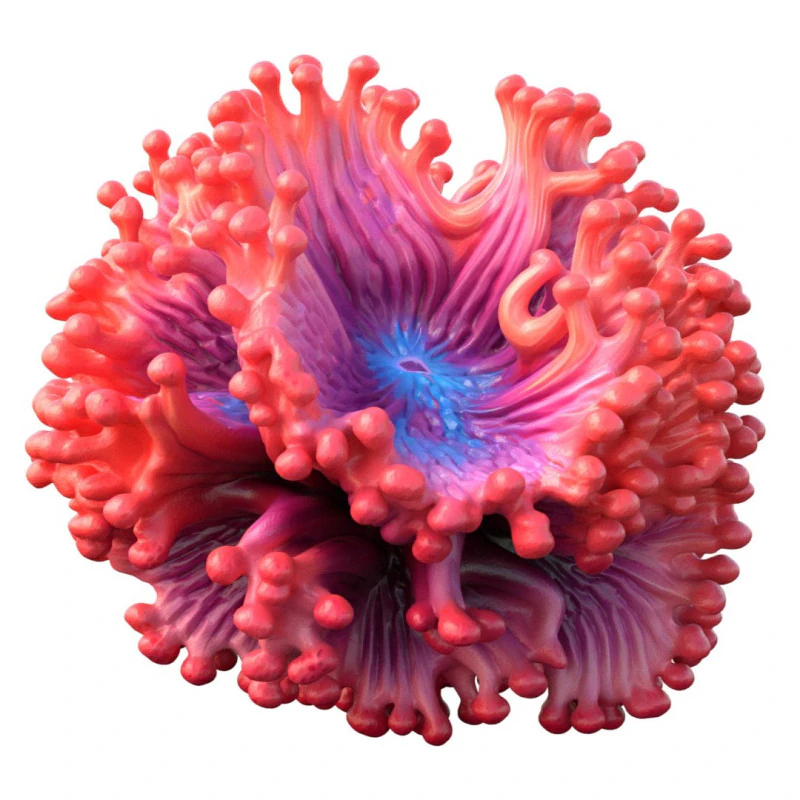 Coral reef 05 3D Model .c4d .max .obj .3ds .fbx .stl .blend 