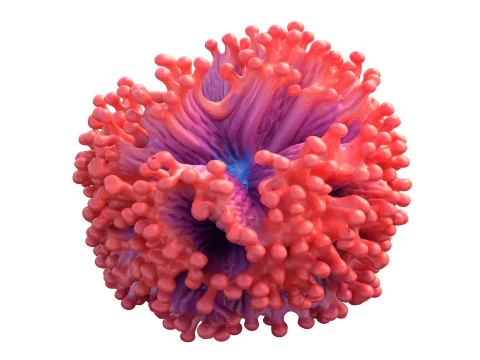 Coral reef 05 3D Model