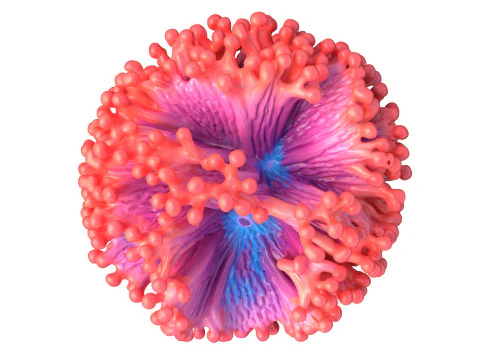 Coral reef 05 3D Model