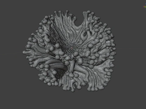 Coral reef 05 3D Model