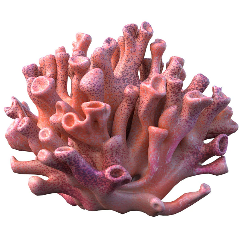 Coral reef 06 3D Model .c4d .max .obj .3ds .fbx .stl .blend