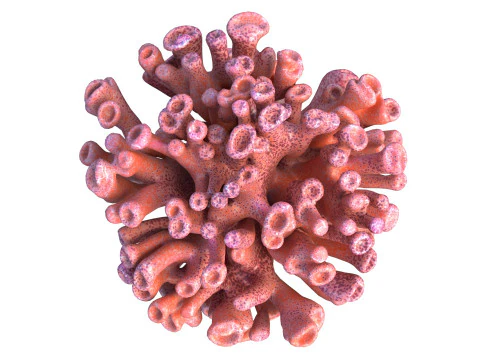Coral reef 06 3D Model