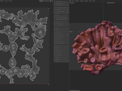 Coral reef 06 3D Model
