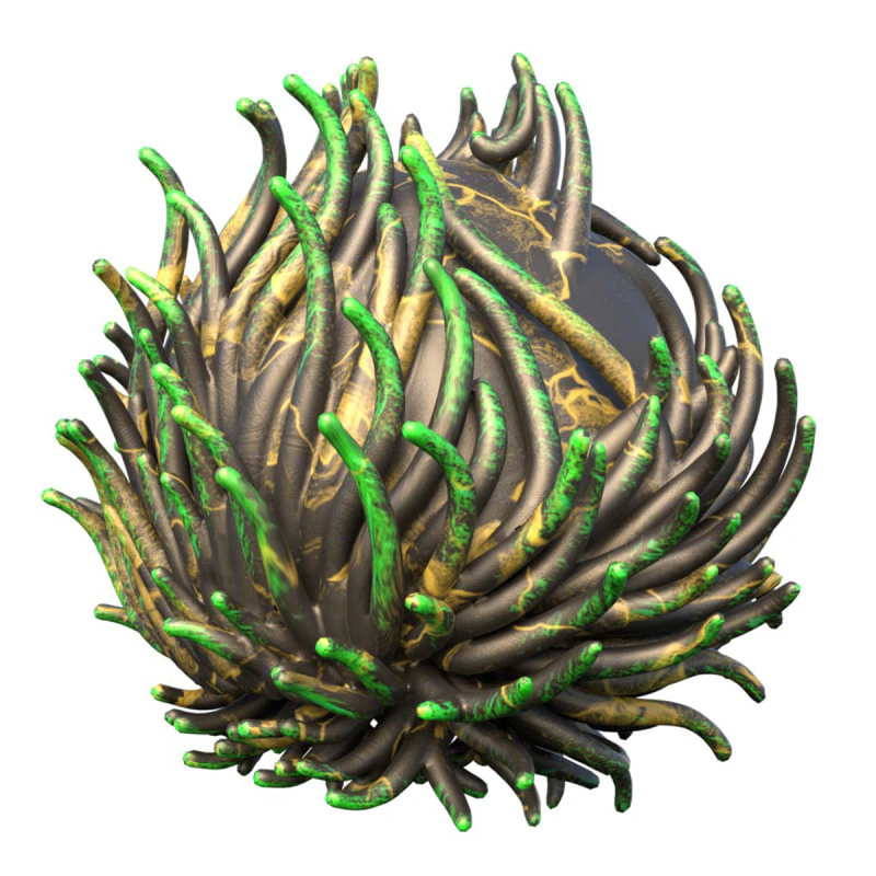 Coral reef 07 3D Model .c4d .max .obj .3ds .fbx .stl .blend 