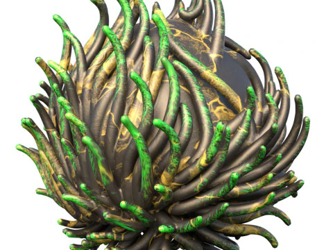 Terumbu karang 07 Model 3D