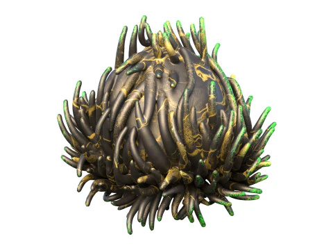 Coral reef 07 3D Model