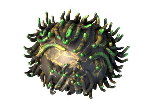 Coral reef 07 3D Model