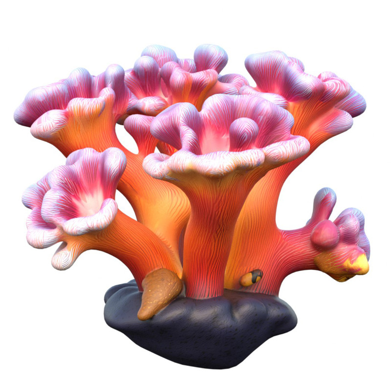 サンゴ礁08 3Dモデル .c4d .max .obj .3ds .fbx .stl .blend