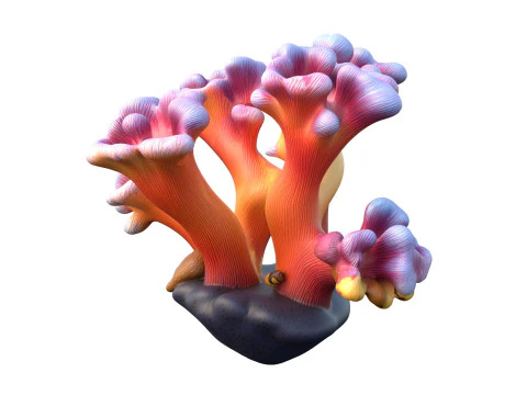 Coral reef 08 3D Model