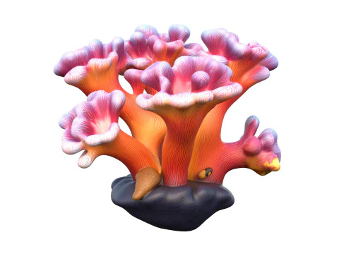 Coral reef 08 3D Model