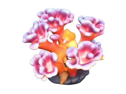 Coral reef 08 3D Model