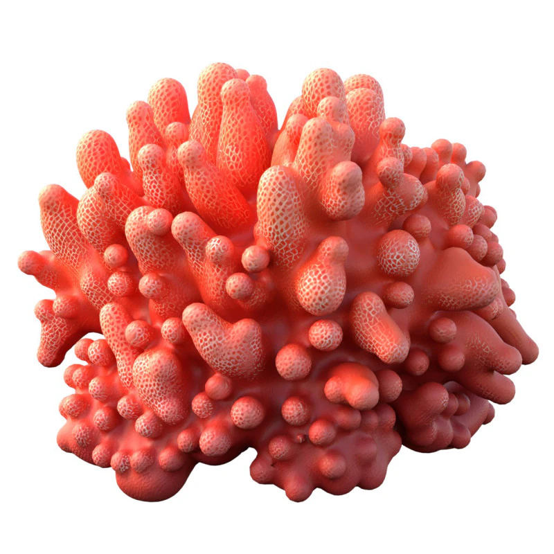Coral reef 09 3D Model .c4d .max .obj .3ds .fbx .stl .blend