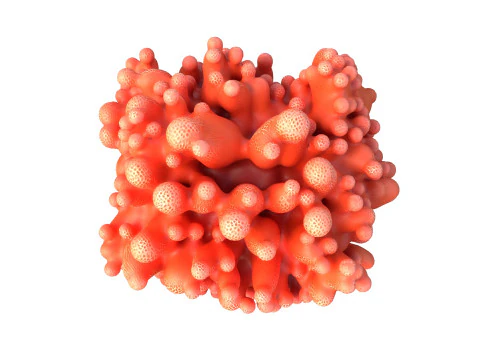 Coral reef 09 3D Model