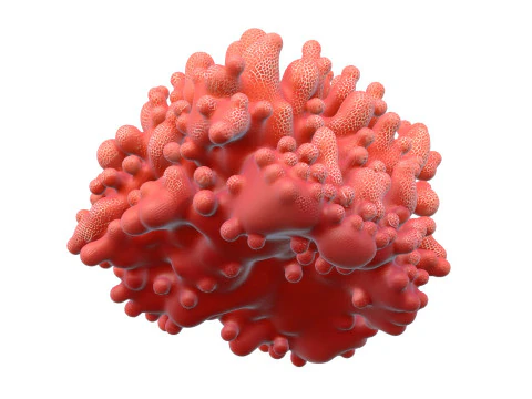 Coral reef 09 3D Model