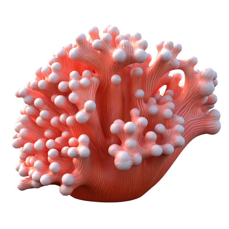 मूंगा चट्टान 10 3D मॉडल .c4d .max .obj .3ds .fbx .stl .blend