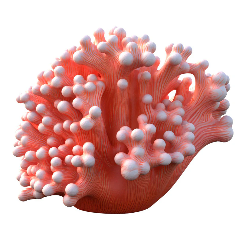 Coral reef 10 3D Model .c4d .max .obj .3ds .fbx .stl .blend 