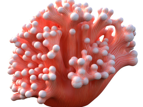 Arrecife de coral 10 Modelo 3D