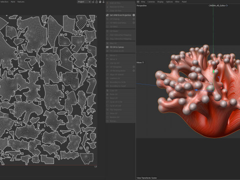 मूंगा चट्टान 10 3D मॉडल